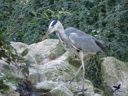 Tiergarten Schönbrunn am 03.10.2025